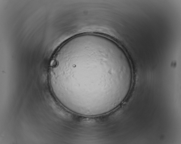 X0000110721505200906261443