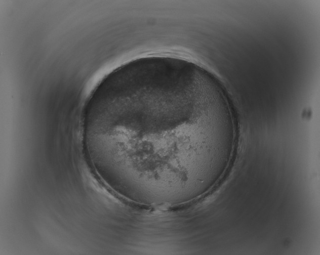 X0000110721506200906261443