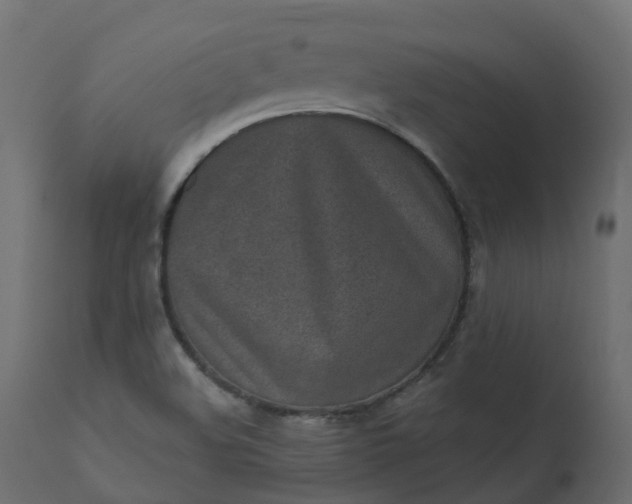 X0000110721508200906261443