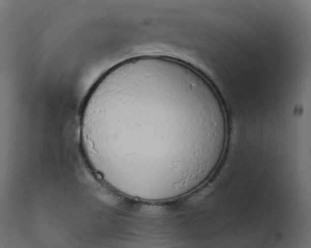 X0000110721509200906261443