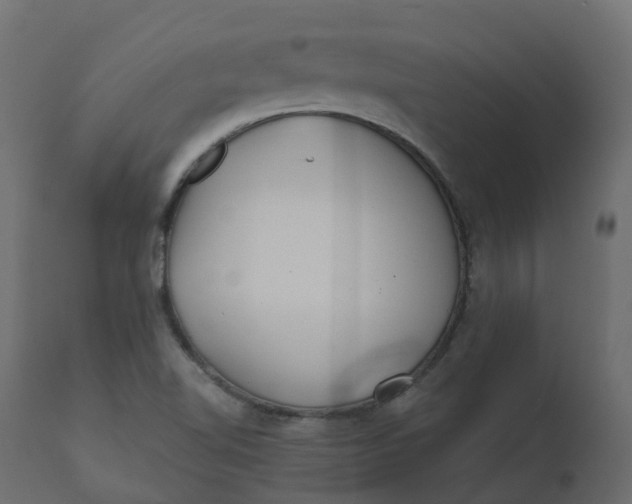 X0000110721510200906261443