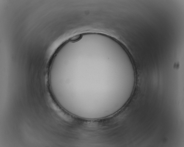 X0000110721511200906261443