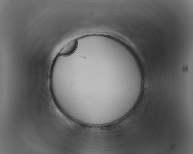 X0000110721512200906261443