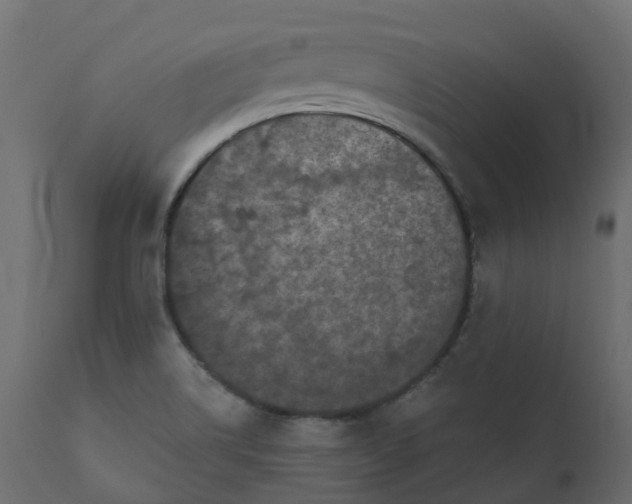 X0000110721514200906261443