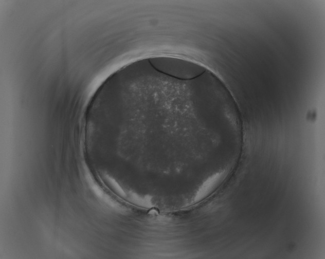 X0000110721515200906261443