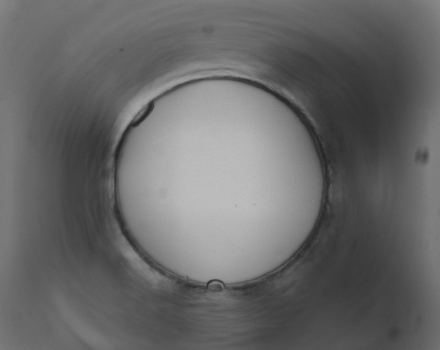X0000110721516200906261443