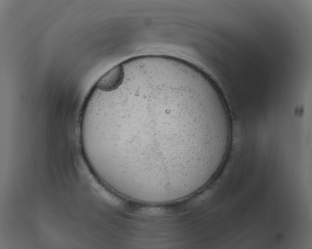 X0000110721517200906261443