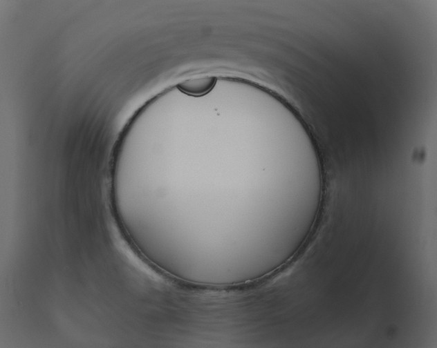 X0000110721518200906261443