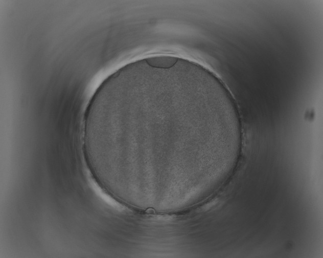 X0000110721519200906261443