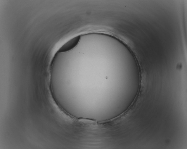 X0000110721520200906261443