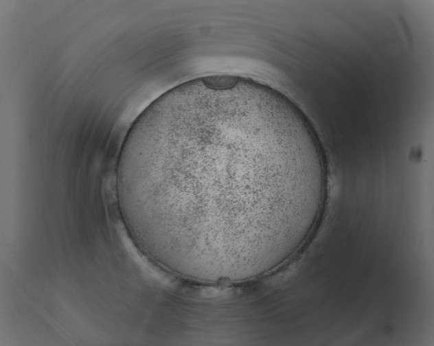X0000110721521200906261443