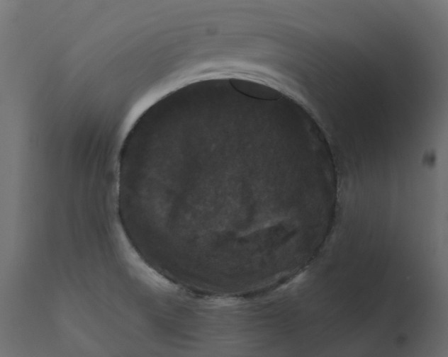 X0000110721522200906261443