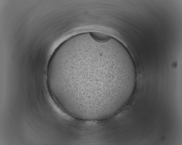 X0000110721523200906261443