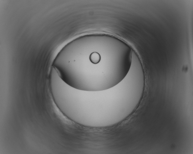 X0000110721524200906261443