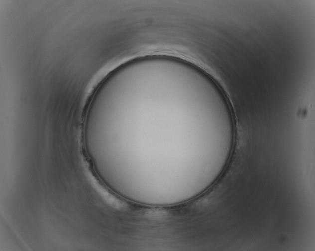 X0000110721525200906261443