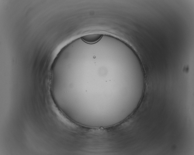 X0000110721526200906261443