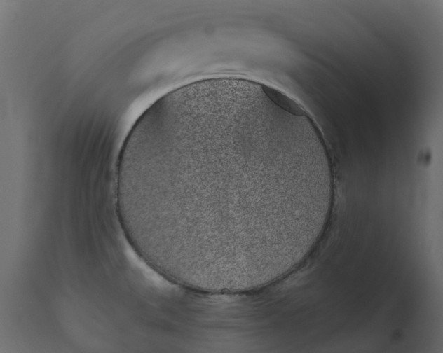 X0000110721527200906261443