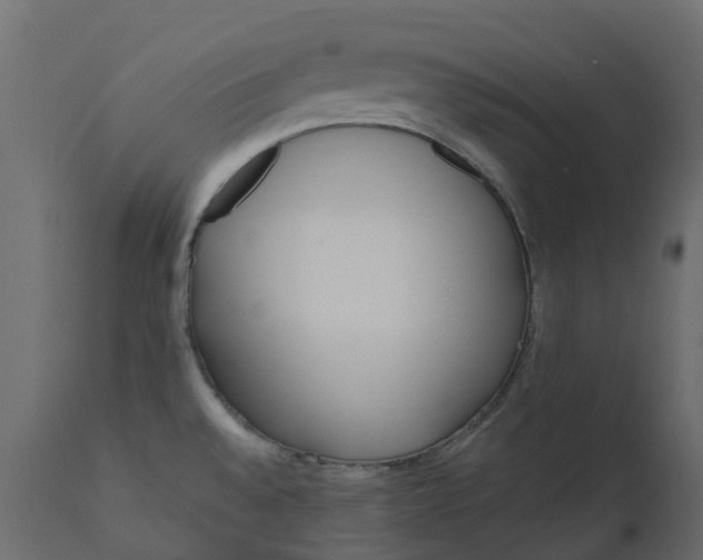 X0000110721528200906261443
