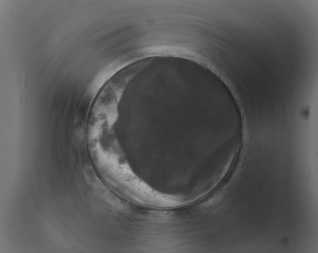 X0000110721529200906261443