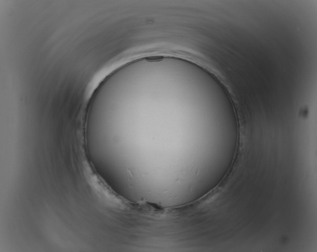 X0000110721530200906261443