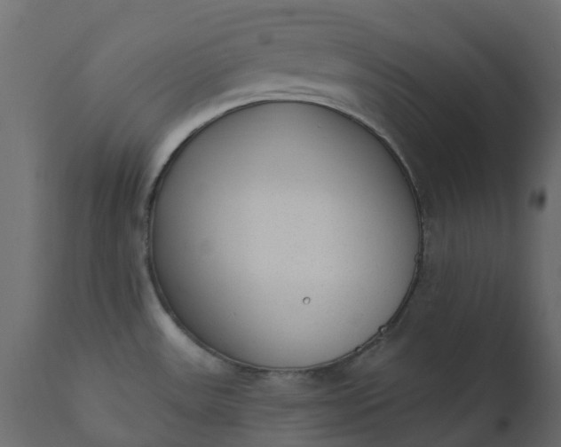 X0000110721531200906261444