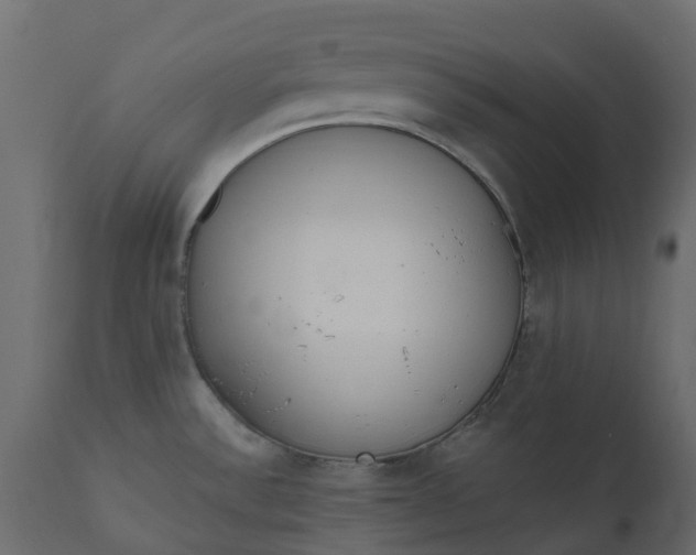 X0000110721532200906261444