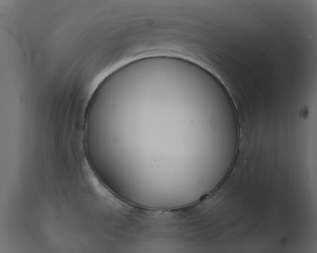 X0000110721534200906261444