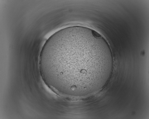 X0000110721535200906261444