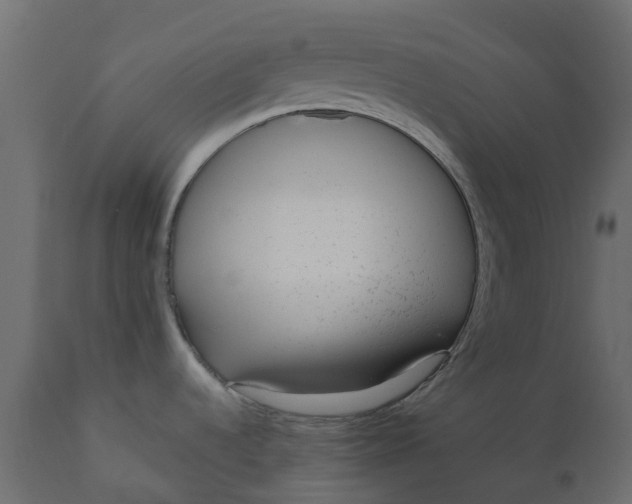 X0000110721536200906261444