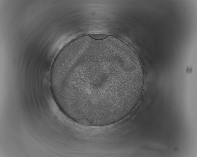 X0000110720002200907022057