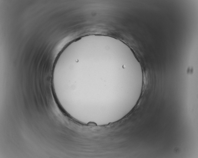 X0000110720003200907022057