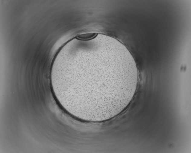 X0000110720004200907022057