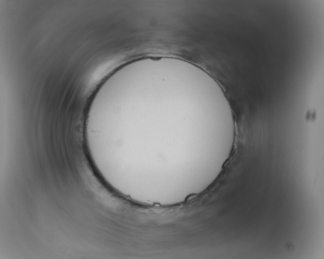 X0000110720005200907022057