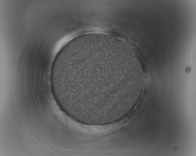 X0000110720006200907022057