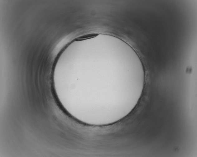 X0000110720007200907022057