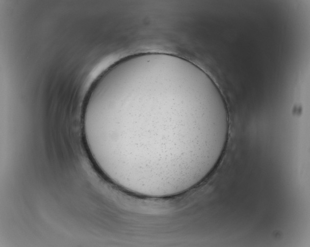 X0000110720008200907022057