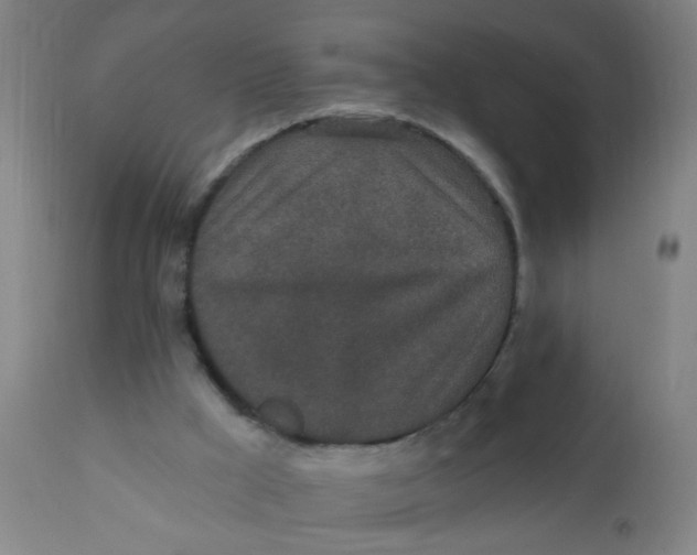 X0000110720009200907022057