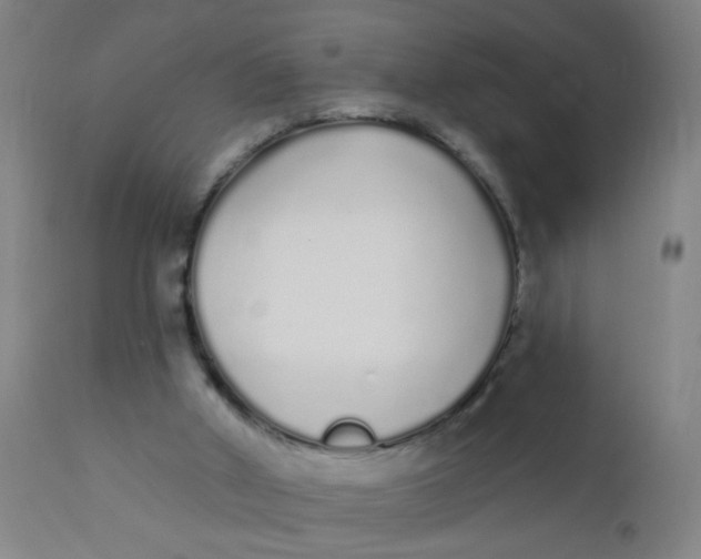 X0000110720010200907022057