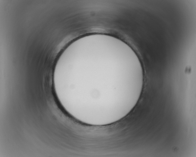 X0000110720011200907022057