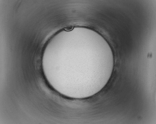 X0000110720012200907022057