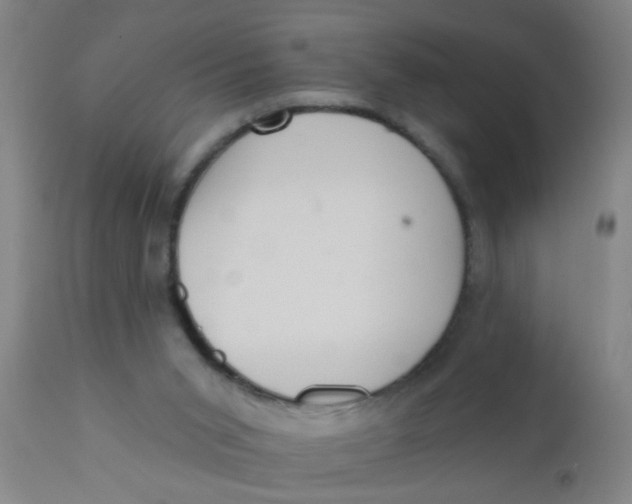 X0000110720015200907022057