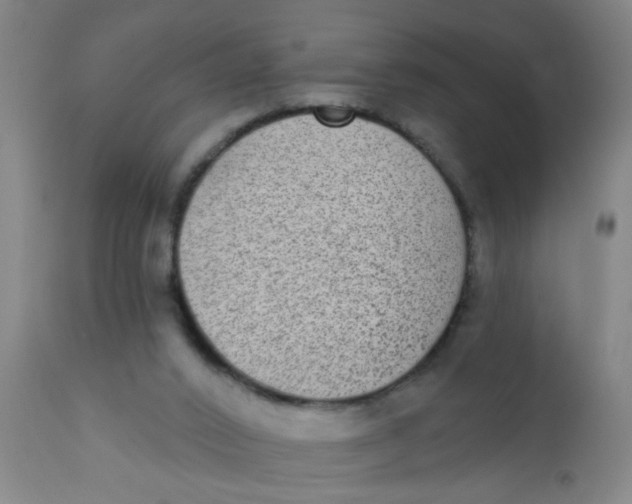 X0000110720016200907022057