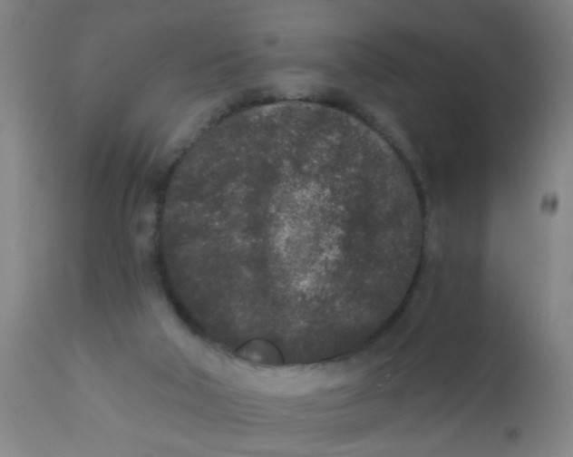 X0000110720018200907022057