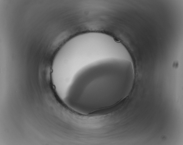 X0000110720019200907022057