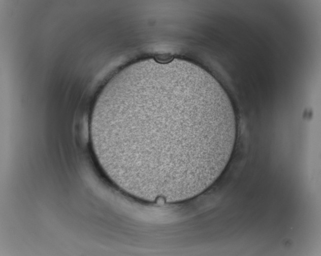 X0000110720020200907022057