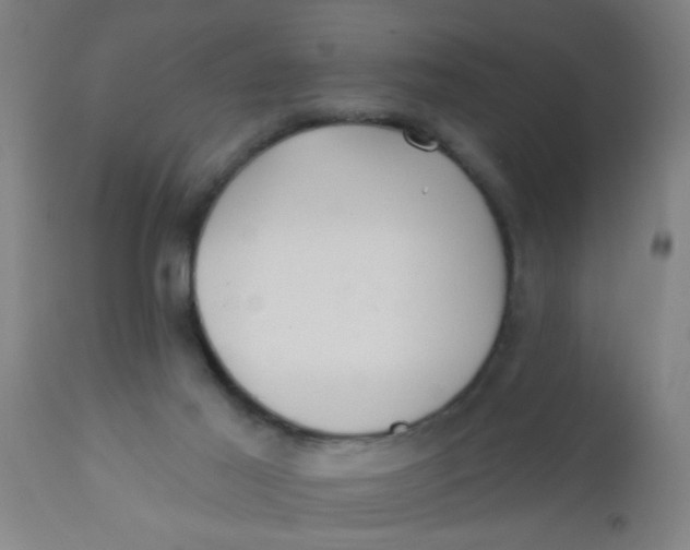 X0000110720021200907022057