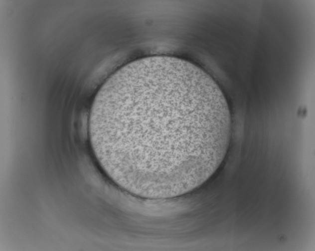 X0000110720022200907022057