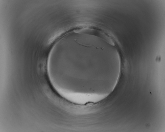 X0000110720023200907022057