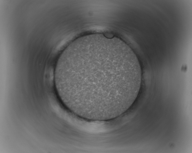 X0000110720024200907022056