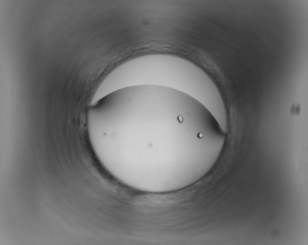 X0000110720025200907022056